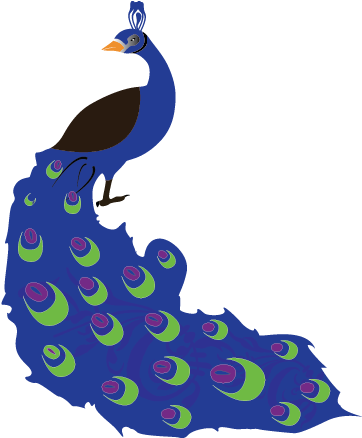 Peacock Clipart Cute Baby - Peafowl (508x508)