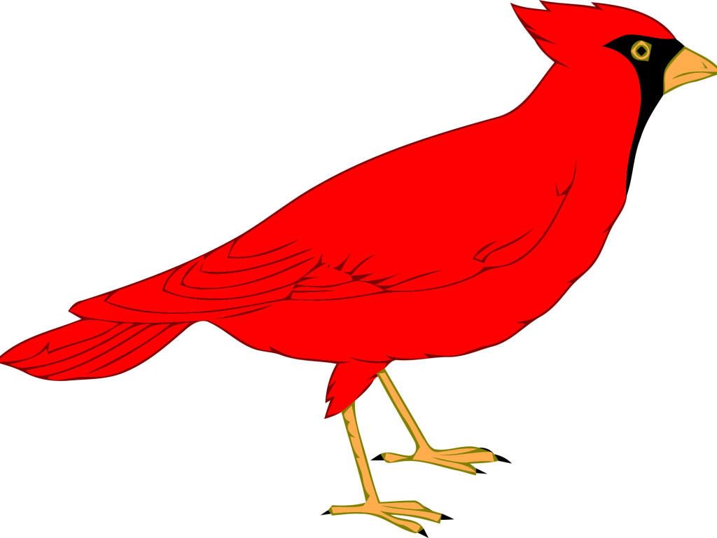 Northern Cardinal St - Cardinal Bird Clip Art (1024x768)
