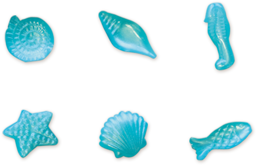 Encuentra Joyas Del Mar - Marine Invertebrates (1000x1000)