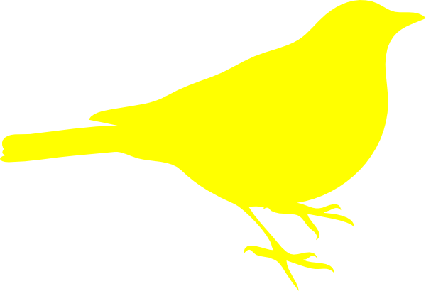 Canary (600x410)