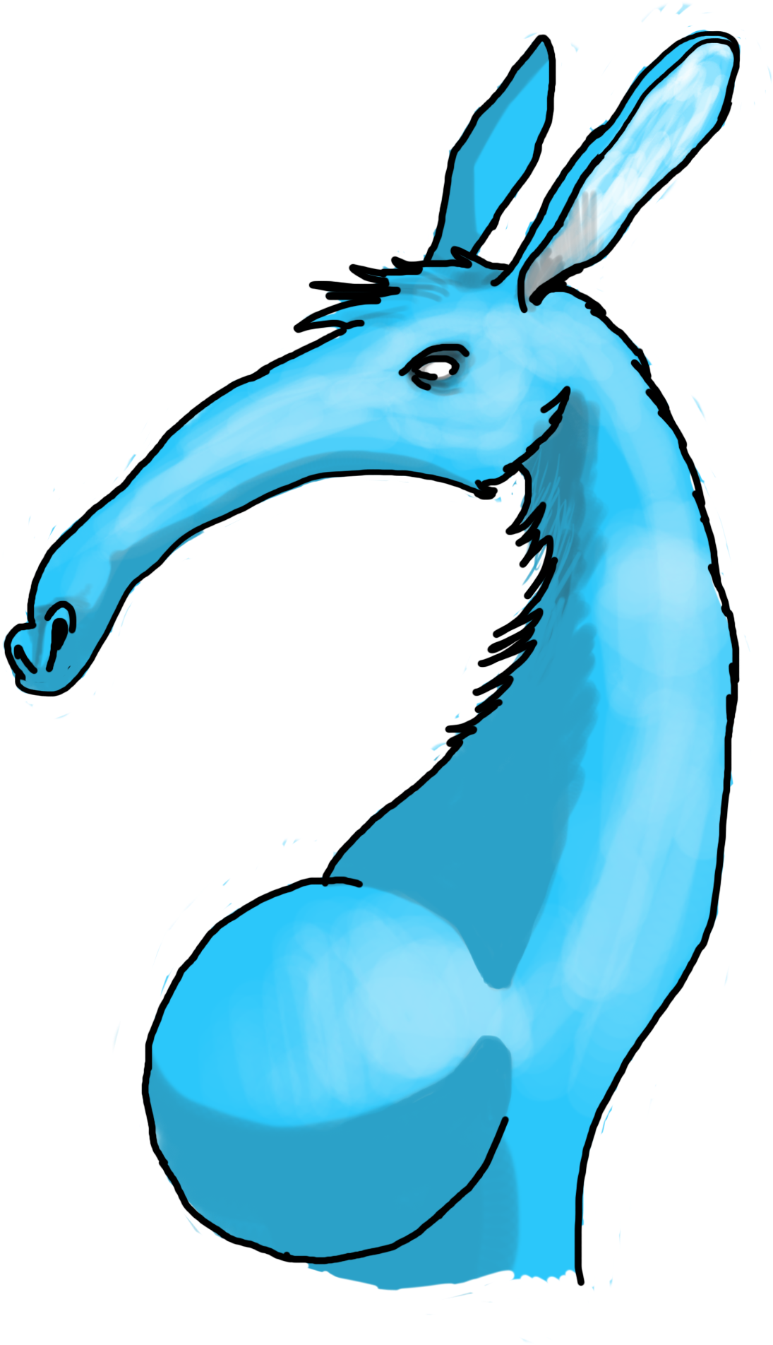 Caballito De Mar De Color Turquesa Clip Art - Cartoon (4000x2248)