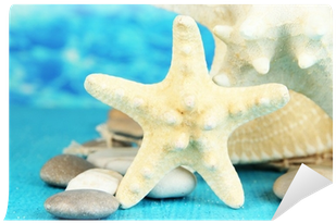Fotomural Estrellas De Mar De Color Blanco Sobre La - Starfish (400x400)