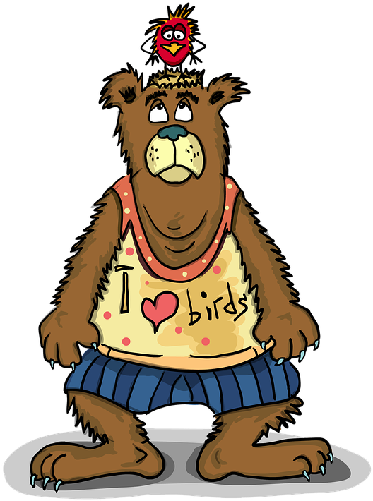 Migratory Birds To Backyard Feeders - Bear Love Birds (648x720)