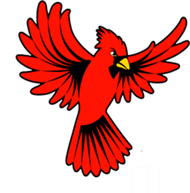 Cardinal - School (656x674)