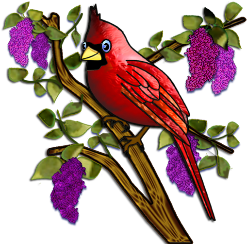 Cardinals&lilacs2 - Cardinal (512x512)