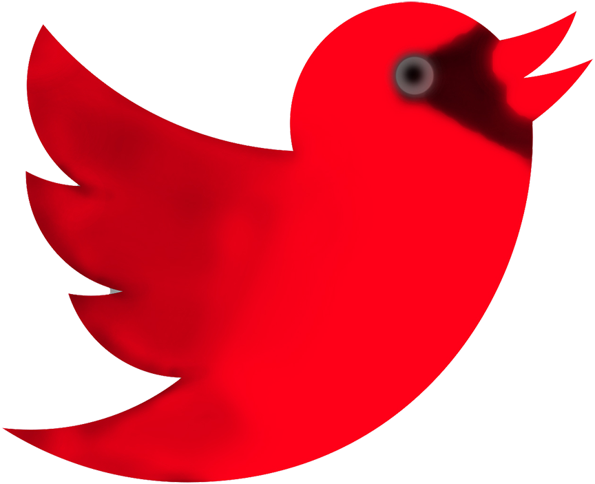 Bird Calls - Logo Twitter Rouge Png (864x703)
