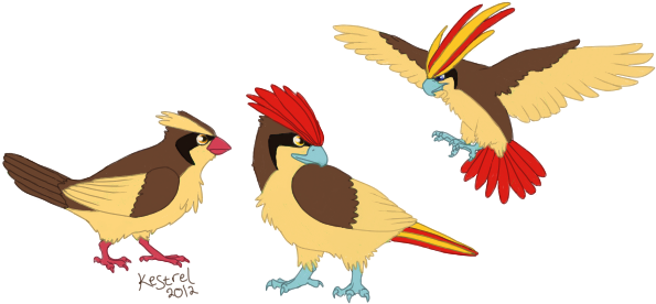The Bird Pokemon By Snowykestrel - Bird Pokemon With Mohawk (600x300)