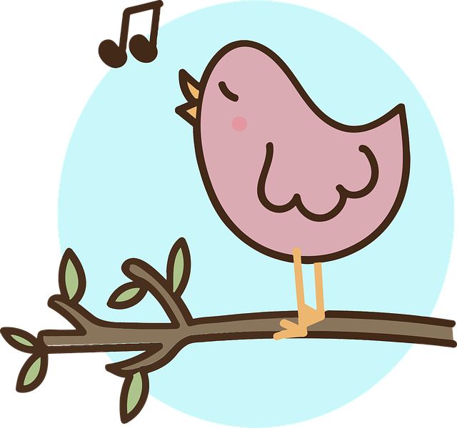 Vogel Singen (800x750)