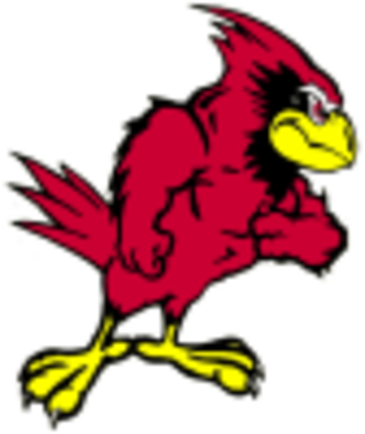Benton Cardinals - Benton High School St Joseph Mo (720x857)