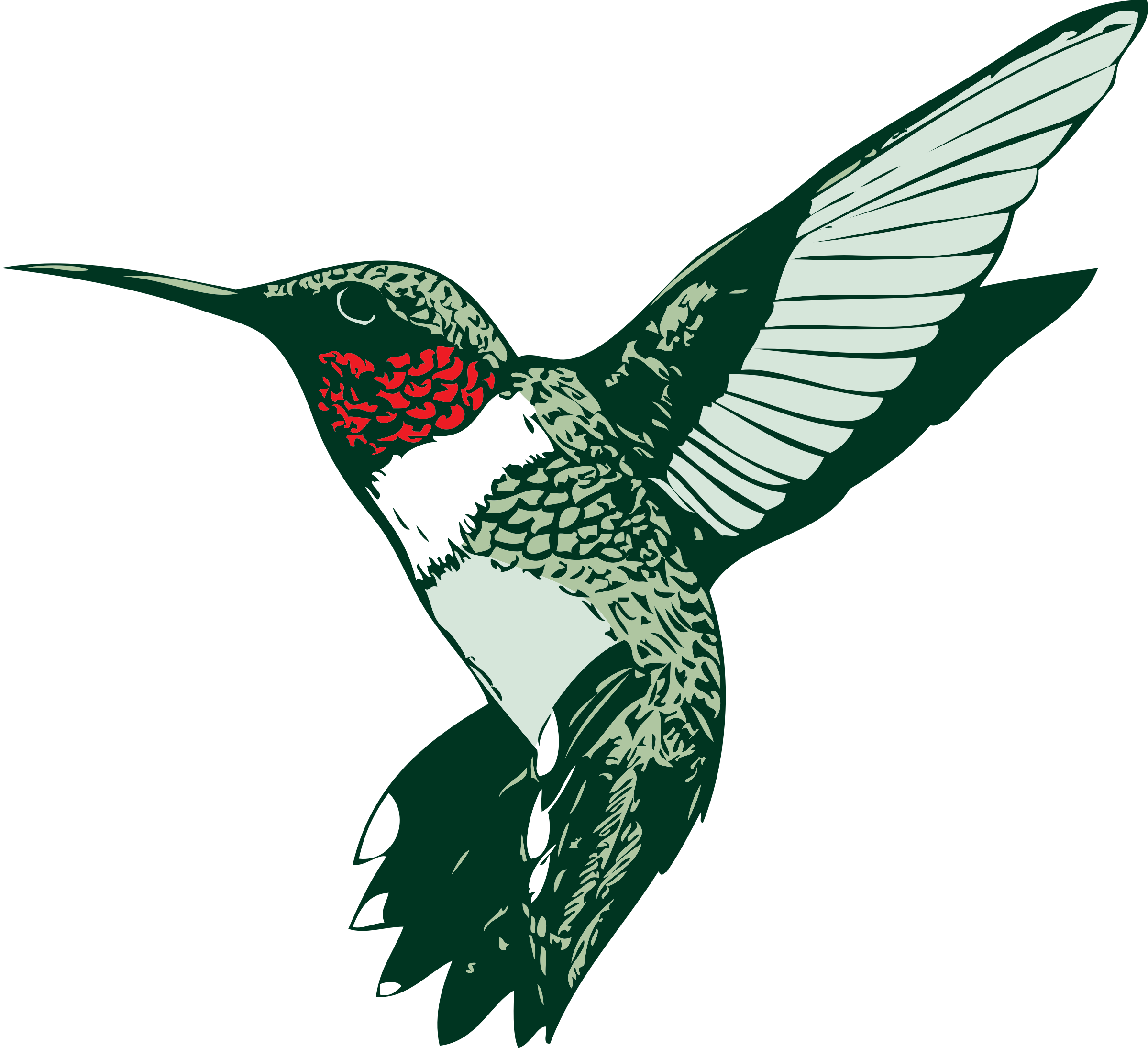 Attractive Design Hummingbird Clipart Images For Clip - Humming Bird Clip Art (2400x2190)