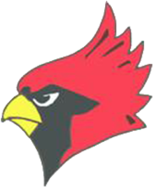 The Warrensburg Latham Cardinals Vs - Warrensburg Latham High School Cardinal (720x720)