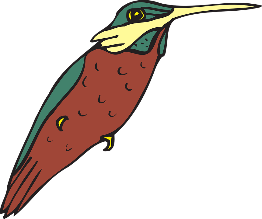 Bird - Hummingbird (861x720)