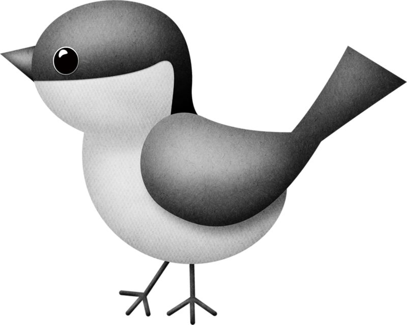 Bird Watching, Bird Cages, Board Ideas, Clip Art, Bulletin - Cage (1100x877)