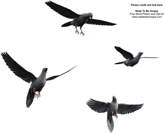 Flying Bird Poses Dove Wings By Madetobeunique On Clipart - Flock (600x480)
