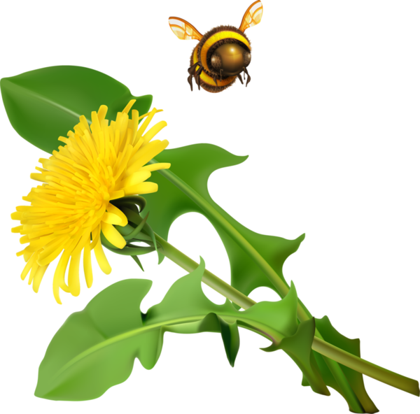 Dandelions And Animals - Art Print: Natykach's Cartoon Characters, Vector Icons (600x592)