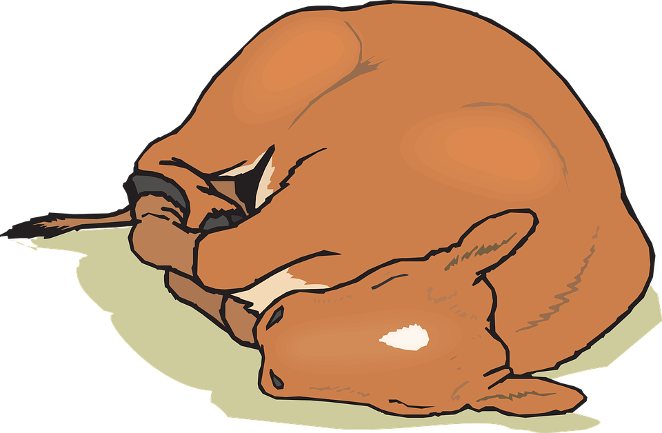 Farm Animals Clipart 7, - Goat Sleeping Clip Art (960x628)