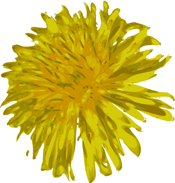 Plants, Flowers, Dandelion, Colorful, Pretty, Flower - Clip Art (611x640)