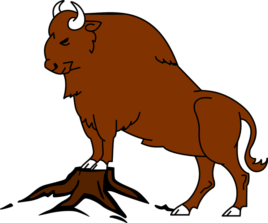 Bison, Vectors, Animal, Vector - Bufalo Desenho Png (866x720)