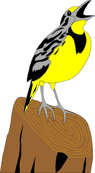 At The Sylvan, A Buildup Of Pine Warblers And Tree - Chim Son Ca Vector (330x598)