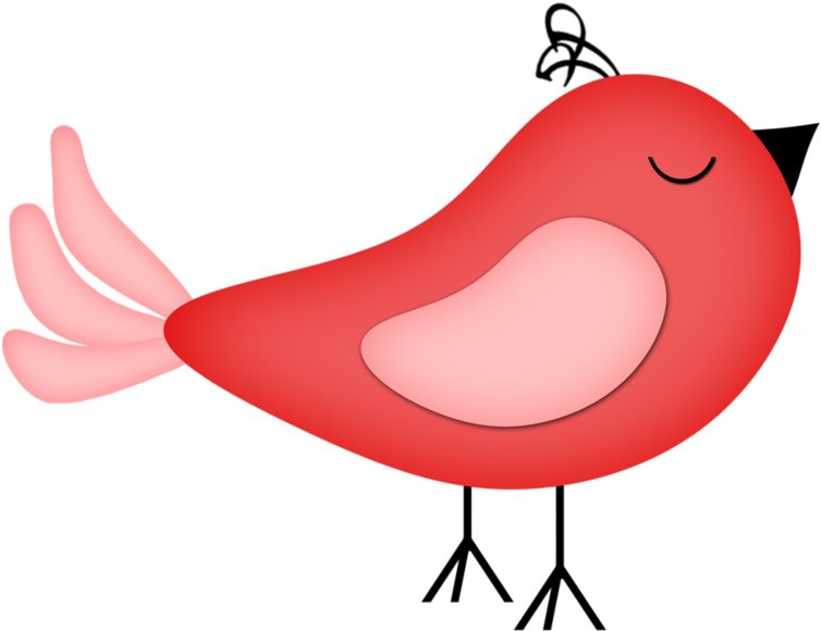 Bird Watchingbird - Bird (800x650)