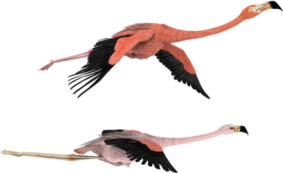 Download Png Image Report - Migration Laptop Sleeve - 13" (600x480)