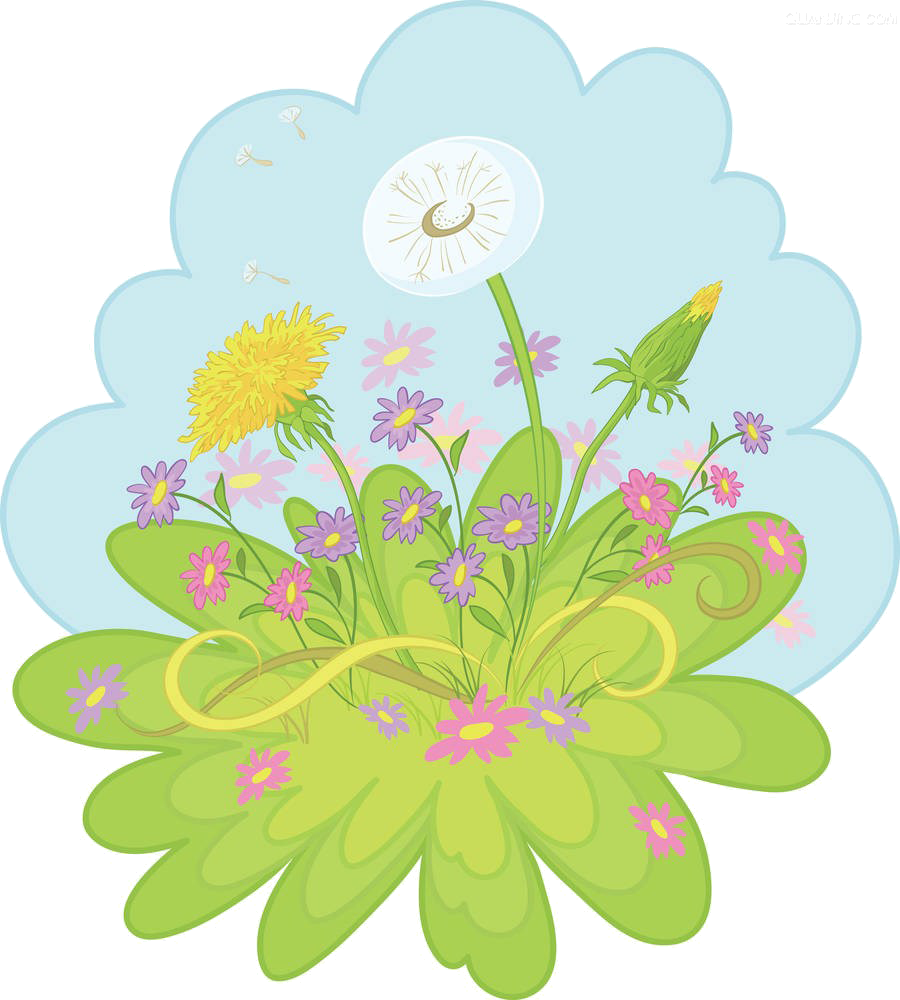 Dandelion Flower Drawing Illustration - Dandelion Flower Drawing Illustration (900x1000)
