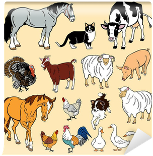 Vector Set With Domestic Animals Wall Mural • Pixers® - (16+) Домашние Животные (набор Из 12 Развивающих Карточек) (400x400)