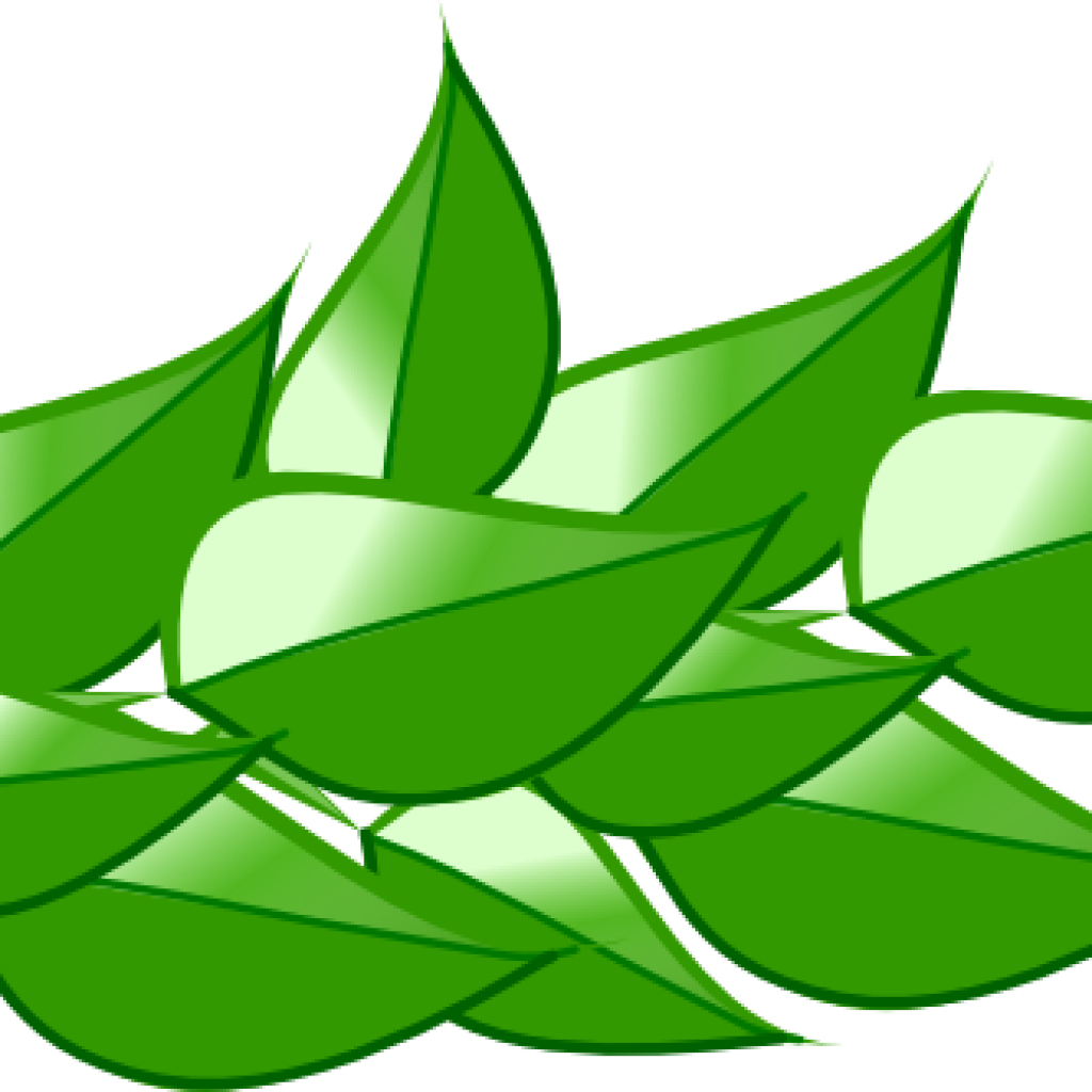 Clipart Leaves Leaves 4 Clip Art At Clker Vector Clip - Clipart Leaves Leaves 4 Clip Art At Clker Vector Clip (1024x1024)