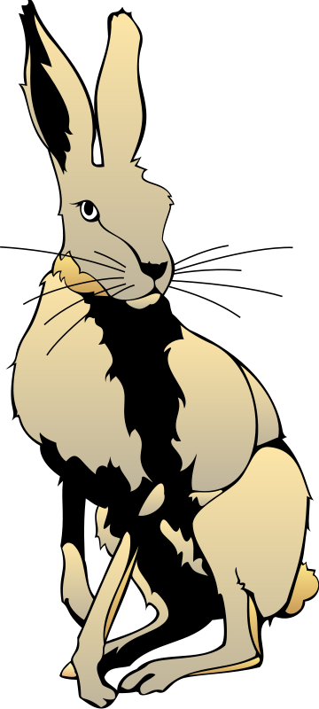 Free Vector Hare - Hare Vector (360x800)