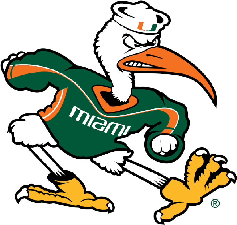University Of Miami Clipart - University Of Miami Mascot (833x833)