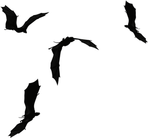 Flying Away Birds Silhouette Download - Silhouette Of Flying Dragons (525x439)