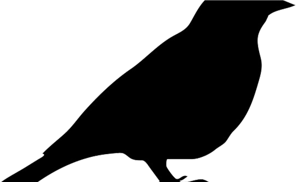 Lessons Learnt The Hard Way The Thirsty Sparrow And - Stencil (1200x630)