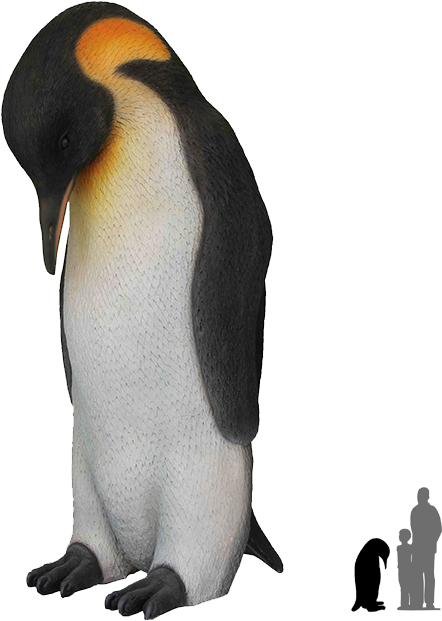 Image - Emperor Penguin Png (640x640)