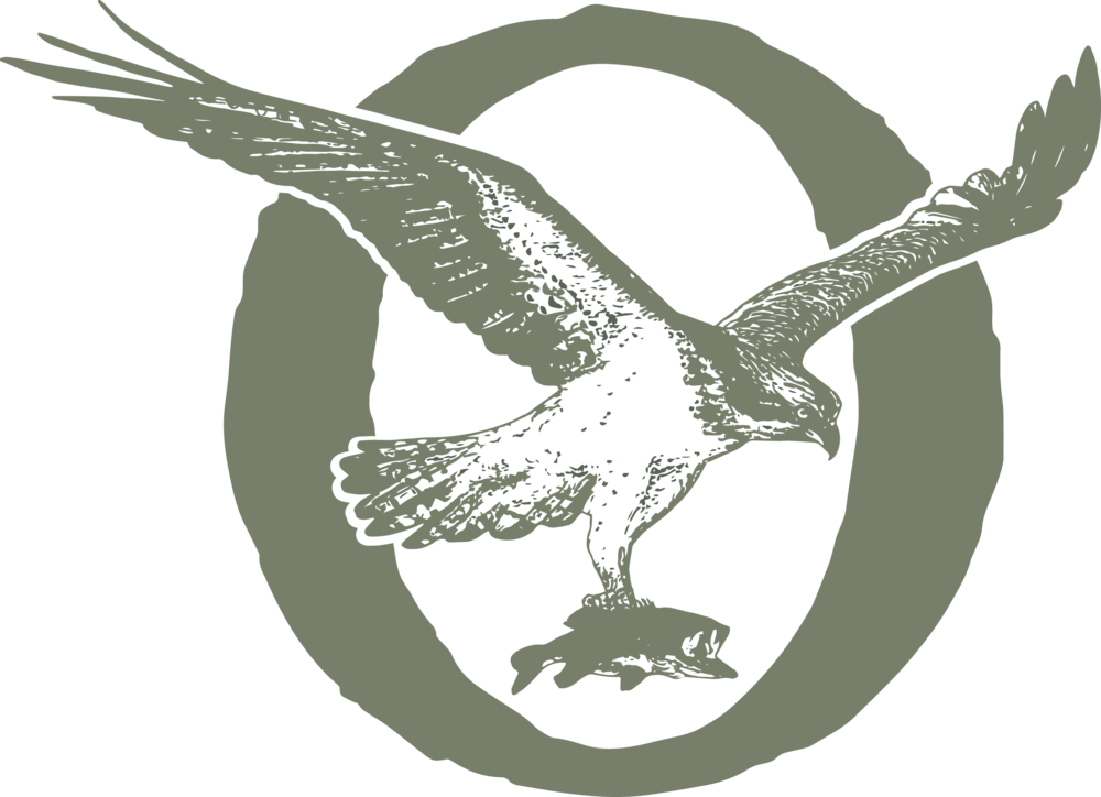 Paul Ek Board Member Since 2011 Occupation Environmental - Eagle (1000x724)