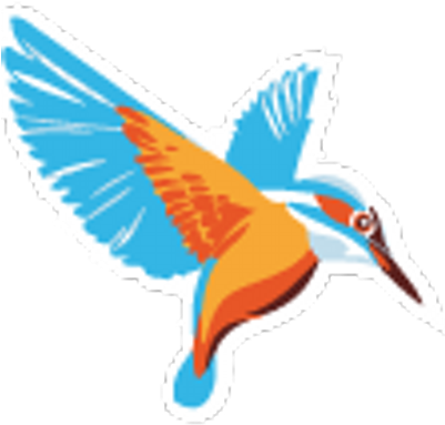 Kingfisher Korfball - Kingfisher Korfball Club (400x400)