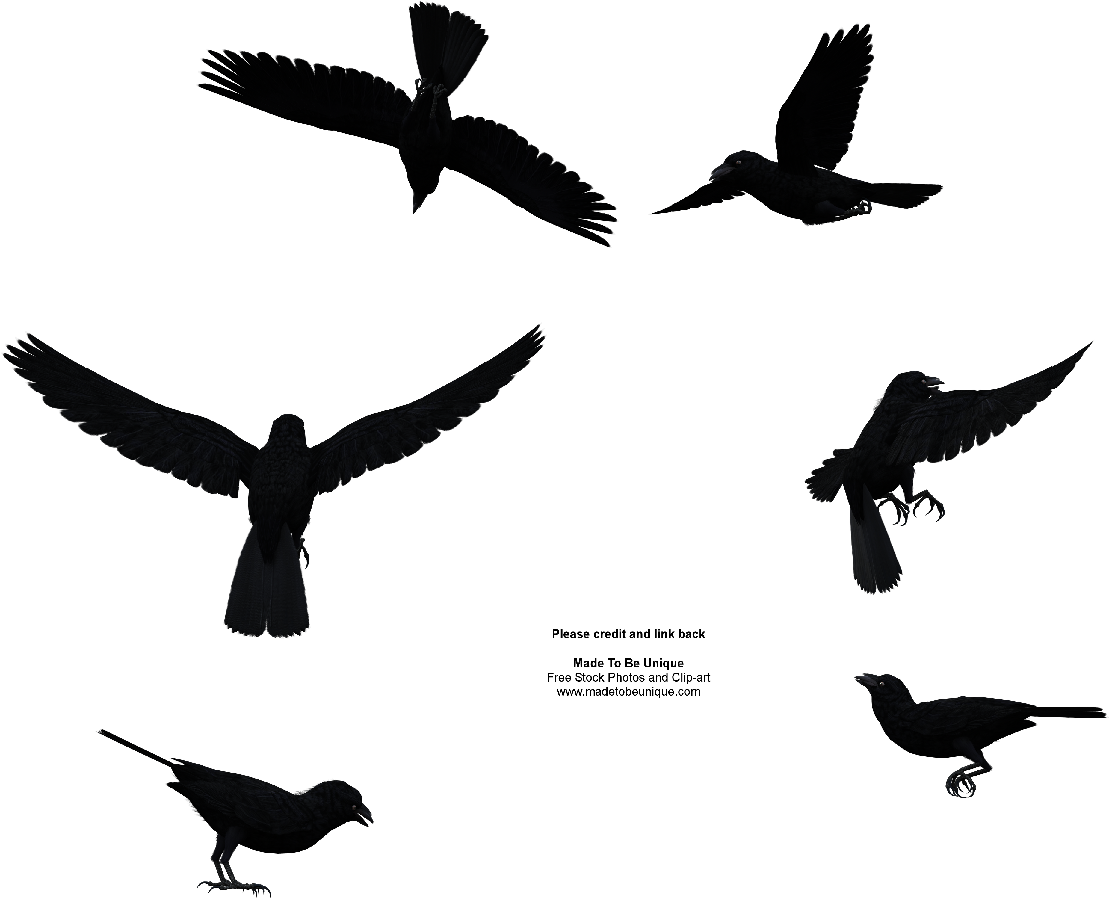 More Like Black Raven Bird Flying Above By Madetobeunique - Bird Flying From Above (4000x3200)
