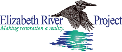 Elizabeth River Project - Elizabeth River Project (400x300)