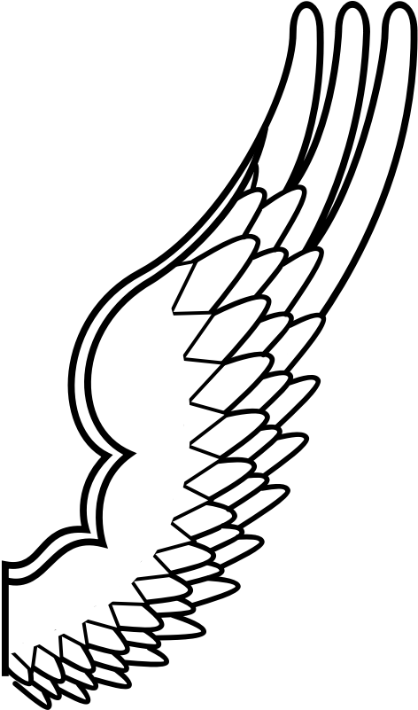 Archaic Drawing Of A Bird Wing - Cartoon Bird Wing Png (800x800)