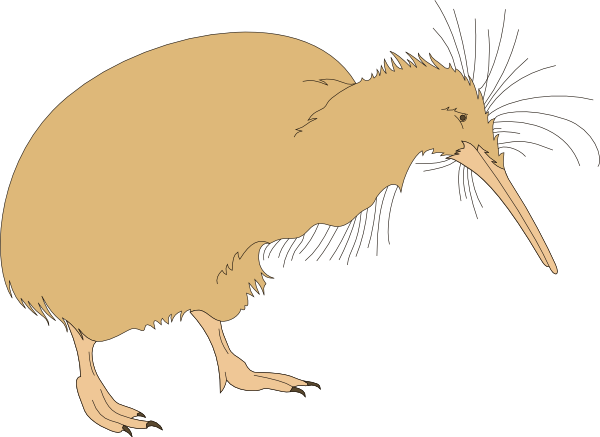 Kiwi Fuzz (600x437)