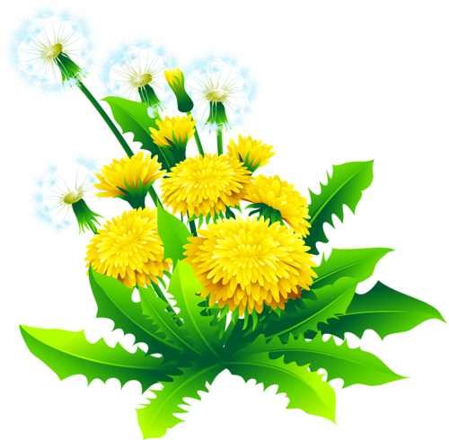 Tubes Nature - Album Design Flower Png (500x490)