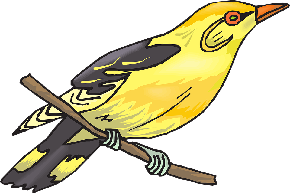 Finch Clipart Bird Branch - Finch Clipart (960x638)