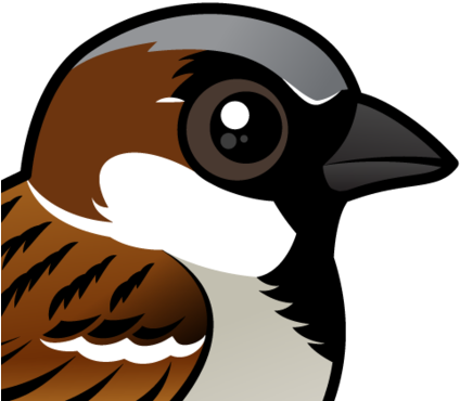 About The House Sparrow - Cartoon House Sparrow (440x440)