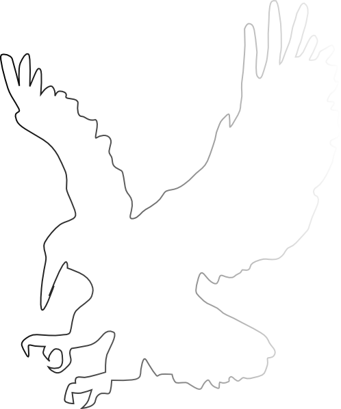 Wedge Tailed Eagle Clipart (498x598)