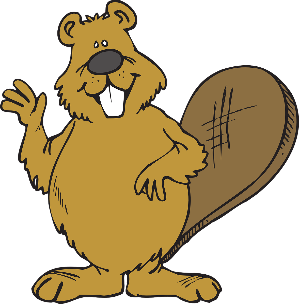 Animals School Cliparts 13, - Beaver Clipart (1177x1200)