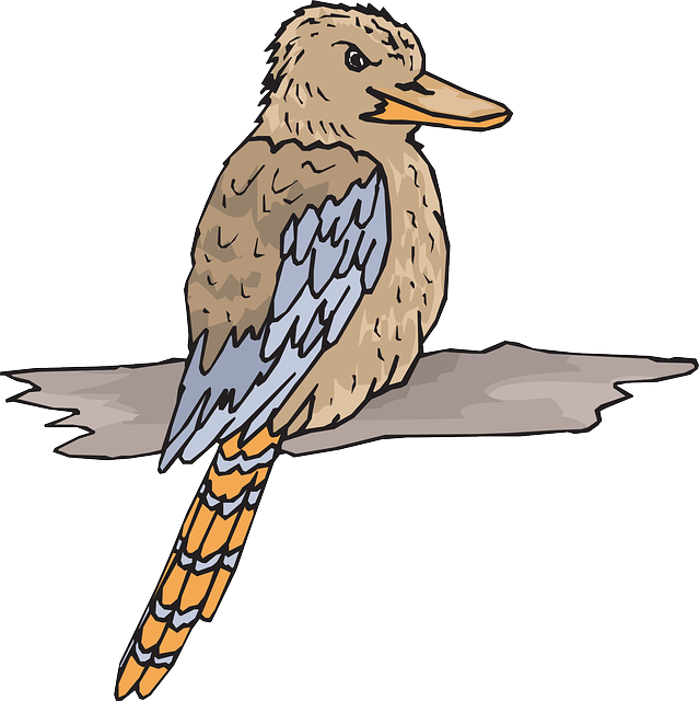 Kookaburra Bird, Wood, Wings, Animal, Beak, Feathers, - Australia Kookaburra Clipart Free (639x640)