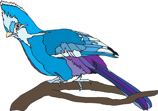 Perched Bird, Branch, Wings, Animal, Beak, Feathers, - Wildlife (640x451)