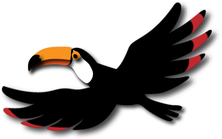 Toucan Bird Animation - Accipitriformes (732x454)