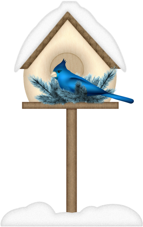 For The Birdsbird Houseswhimsicalclip Artlittle - Atlantic Blue Marlin (545x800)