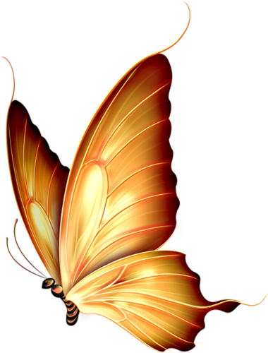 Bird Wings - Butterfly Png (391x500)