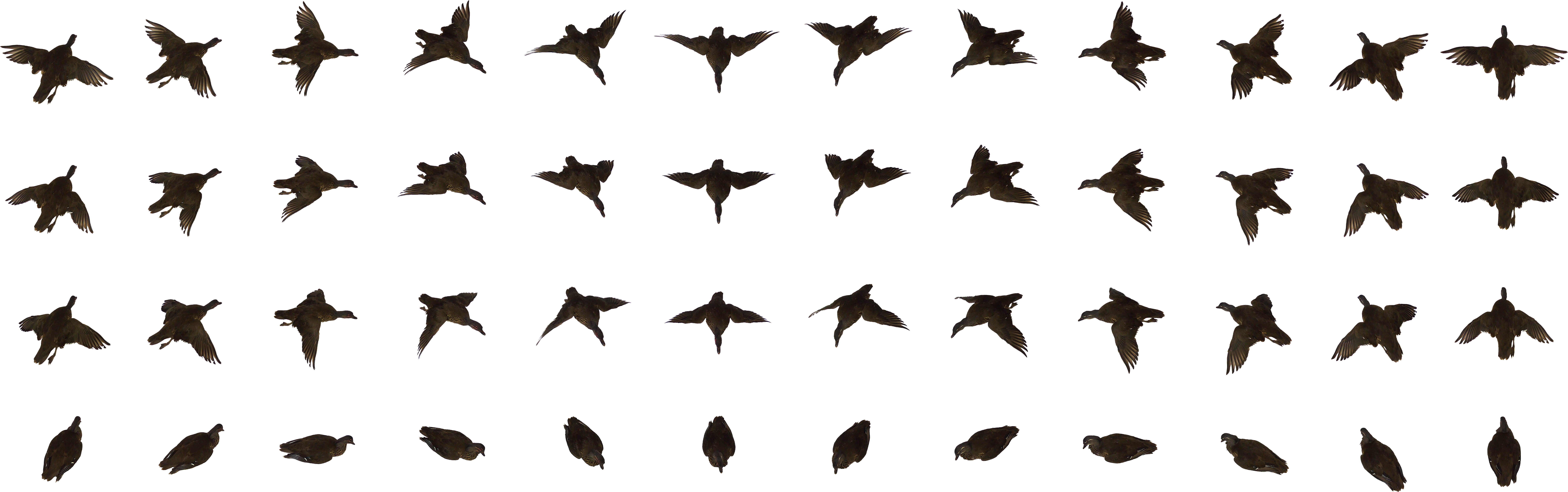 Dead Bird - Flying Bird Animation Png - (9600x3200) Png Clipart Download Dead Bird - Flying Bird Animation Png - (9600x3200) Png Clipart Download